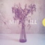 MITTEKILL - All But Bored, Weak And Old